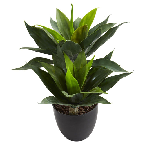 [FINALSALE] Artificial Snake Plant - 19