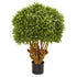 3' Boxwood Artificial Topiary Tree by Nearly Natural