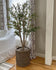 5' Olive Silk Tree by Nearly Natural