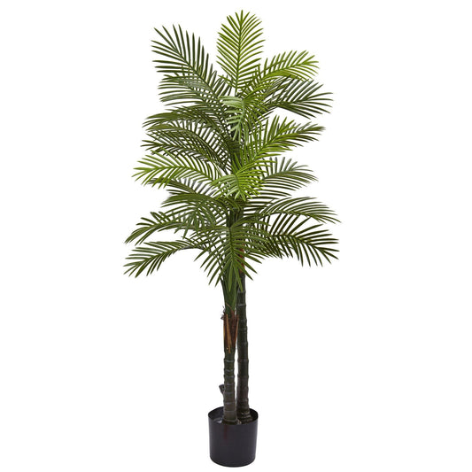 5.5’ Double Robellini Palm Tree UV Resistant (Indoor/Outdoor) by Nearly Natural