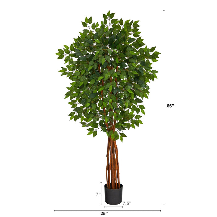 5.5’ Super DeluxeNatural Trunk Ficus Artificial Tree with by Nearly Natural