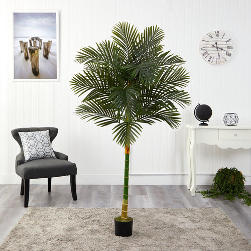 7' Paradise Palm