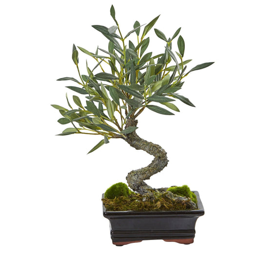 Mini Olive Artificial Bonsai Tree by Nearly Natural