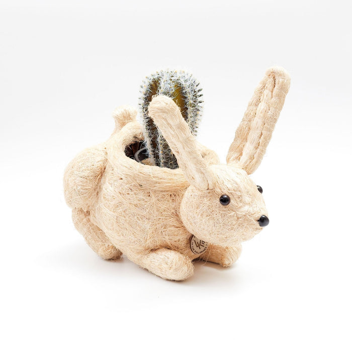Bunny Planter - Handmade Planters | LIKHÂ by LIKHÂ