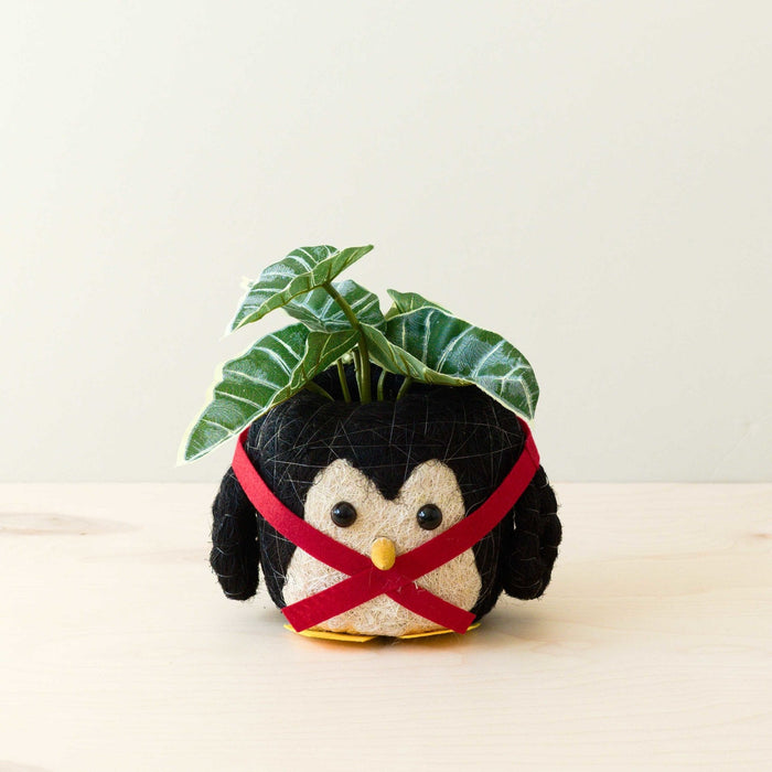 Penguin Planter - Coco Coir Pot | LIKHÂ by LIKHÂ