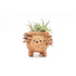 Baby Hedgehog Plant Pot - Handmade Planters | LIKHÂ by LIKHÂ