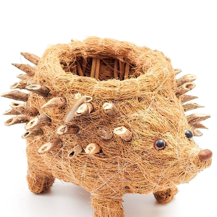 Baby Hedgehog Plant Pot - Handmade Planters | LIKHÂ by LIKHÂ