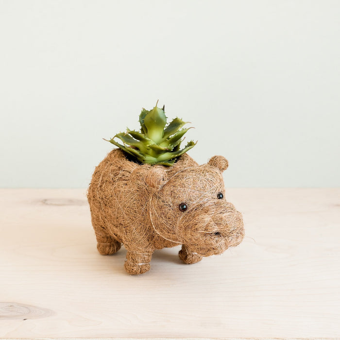 Baby Hippo Plant Pot - Handmade Pots | LIKHÂ by LIKHÂ