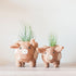 Baby Pig Succulent Pot - Handmade Planters | LIKHÂ by LIKHÂ