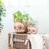 Large two-tone Sloth - Coco Coir Pots (6 inch) | LIKHÂ by LIKHÂ