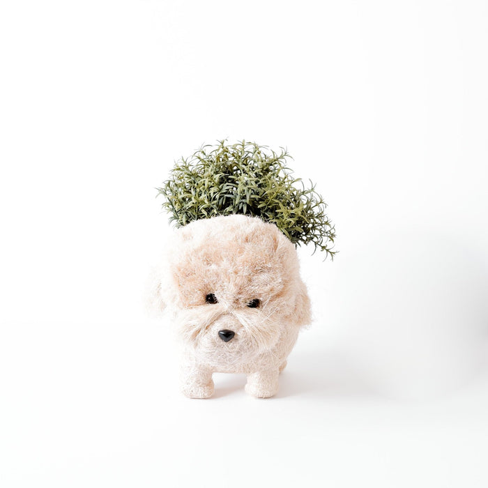 Poodle Planter - Coco Coir Pots | LIKHÂ by LIKHÂ