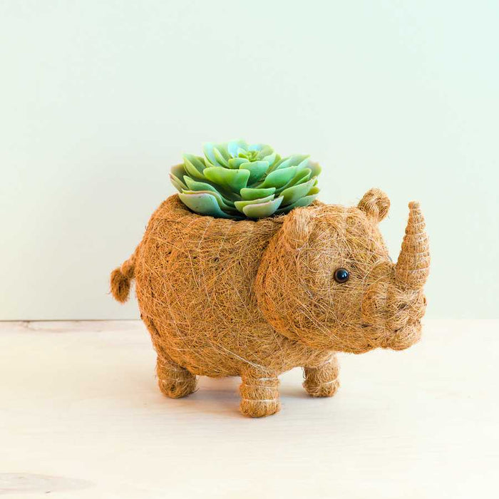Rhino Planter - Coco Coir Pot | LIKHA by LIKHÂ